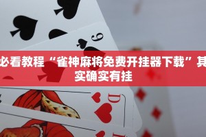 必看教程“椰子大厅透视”其实确实有挂