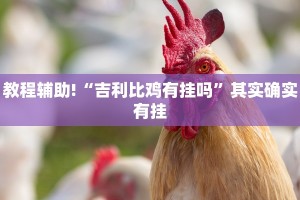 必看教程“新天天游戏开挂”其实确实有挂
