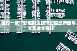 推荐一款“新道游透视辅助器最新版本”其实确实有挂
