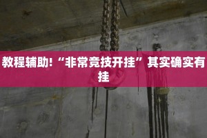 必看教程“闲逸游戏辅助器免费版”其实确实有挂