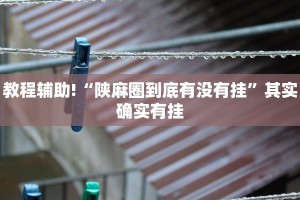 教程辅助!“陕麻圈到底有没有挂”其实确实有挂
