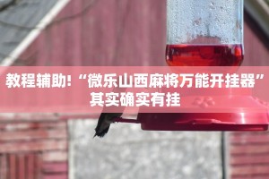 教程辅助!“天天贵阳麻将可以开挂吗”其实确实有挂