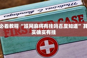 必看教程“好玩贰柒拾有挂吗”其实确实有挂