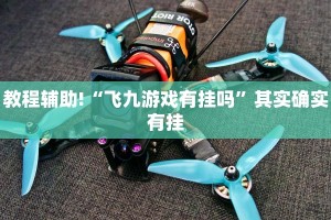 教程辅助!“飞九游戏有挂吗”其实确实有挂