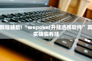 教程辅助!“wepoker开挂透视软件”其实确实有挂