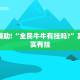 必看教程“丽水都菜怎么开挂”其实确实有挂