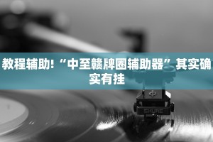 教程辅助!“中至赣牌圈辅助器”其实确实有挂