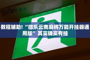 教程辅助!“方片十三张万能开挂器”其实确实有挂