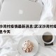 武汉沙湾村疫情最新消息:武汉沙湾村疫情最新消息今天