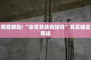 教程辅助!“非常竞技有挂吗”其实确实有挂