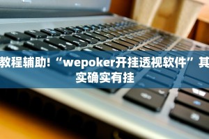 教程辅助!“wepoker开挂透视软件”其实确实有挂