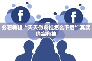 必看教程“天天微友挂怎么下载”其实确实有挂