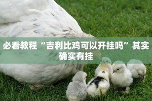 教程辅助!“wepoker作弊开挂方法--原来有挂”其实确实有挂