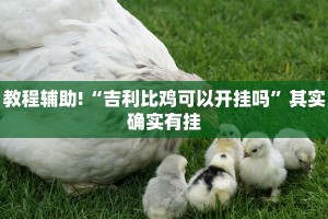 必看教程“和和斗地主有挂吗”其实确实有挂