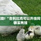 必看教程“和和斗地主有挂吗”其实确实有挂