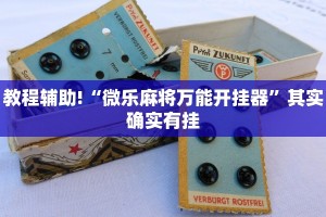 教程辅助!“微乐麻将万能开挂器”其实确实有挂