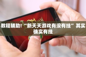 教程辅助!“新天天游戏有没有挂”其实确实有挂
