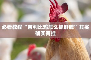 必看教程“吉利比鸡怎么抓好牌”其实确实有挂