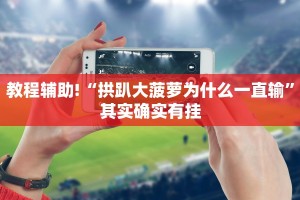 必看教程“新海贝之城透视开挂”其实确实有挂