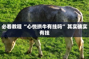 必看教程“蜜瓜大厅辅助器”其实确实有挂