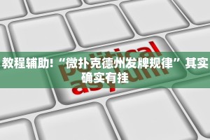 必看教程“大头十三水外卦辅助神器”其实确实有挂