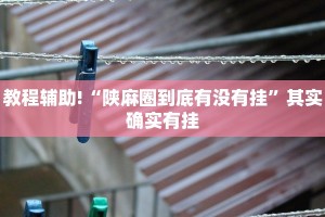教程辅助!“陕麻圈到底有没有挂”其实确实有挂