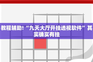 教程辅助!“战皇大厅透视软件”其实确实有挂