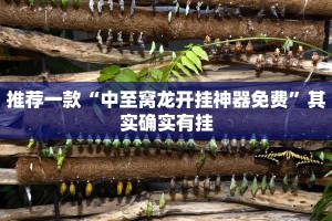 教程辅助!“微乐广西麻将小程序开挂神器”其实确实有挂