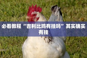 必看教程“吉利比鸡有挂吗”其实确实有挂