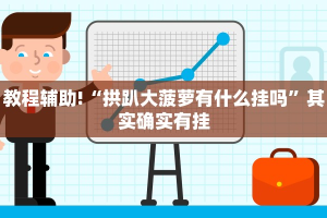 教程辅助!“拱趴大菠萝有什么挂吗”其实确实有挂