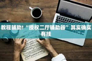 教程辅助!“授权二厅辅助器”其实确实有挂