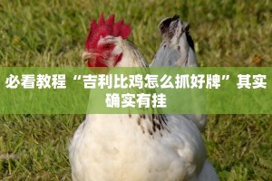 推荐一款“火星大厅卖辅助挂的可信吗”其实确实有挂