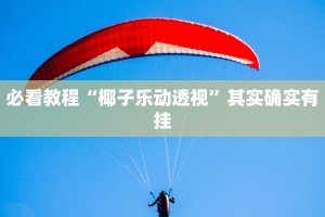 必看教程“椰子乐动透视”其实确实有挂