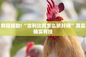 教程辅助!“吉利比鸡怎么抓好牌”其实确实有挂