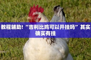 教程辅助!“吉利比鸡可以开挂吗”其实确实有挂