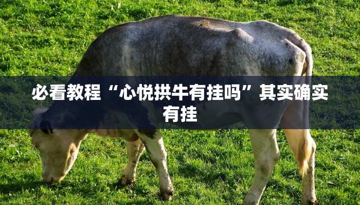 必看教程“蜜瓜大厅辅助器”其实确实有挂