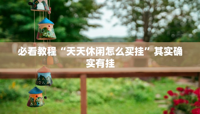 必看教程“天天休闲怎么买挂”其实确实有挂