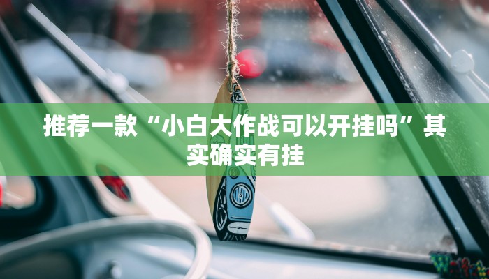 推荐一款“小白大作战可以开挂吗”其实确实有挂
