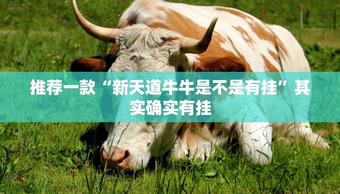教程辅助!“新海贝之城开挂”其实确实有挂