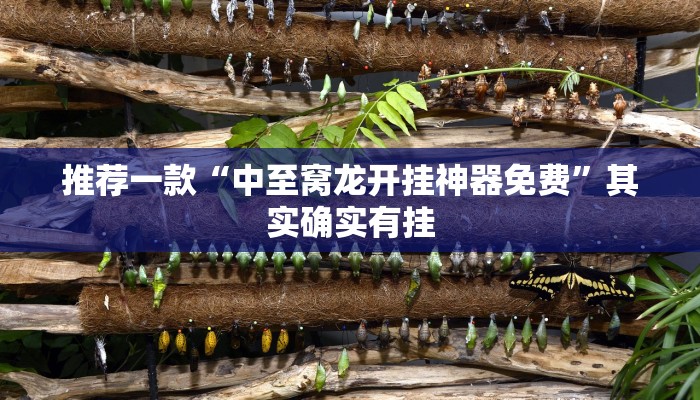 教程辅助!“微乐广西麻将小程序开挂神器”其实确实有挂