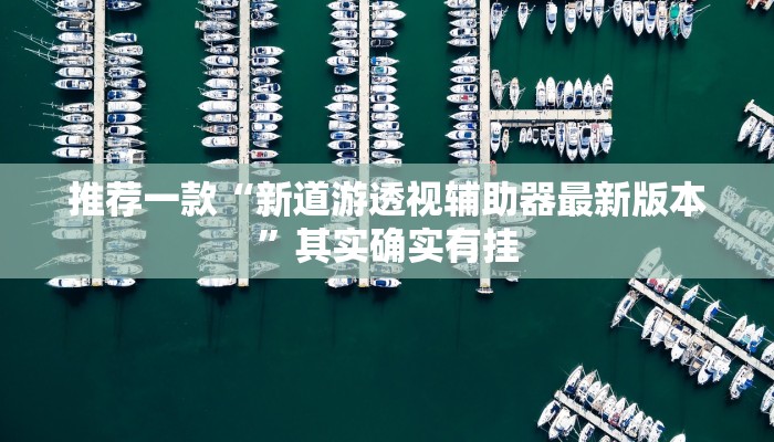 推荐一款“新道游透视辅助器最新版本”其实确实有挂