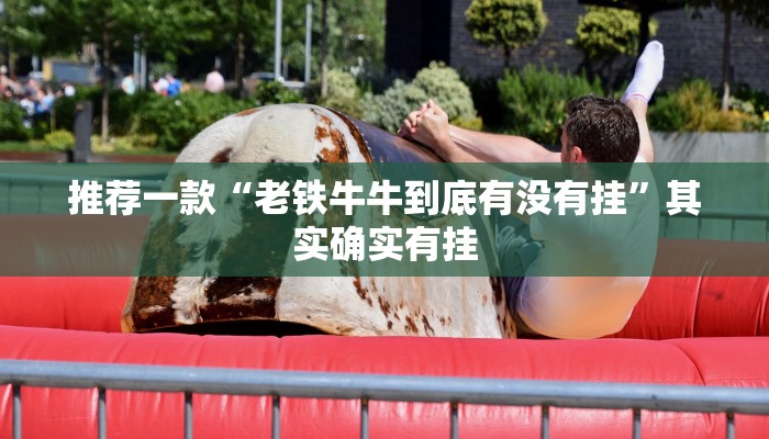 推荐一款“老铁牛牛到底有没有挂”其实确实有挂