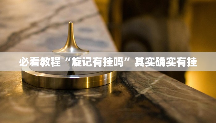 必看教程“旋记有挂吗”其实确实有挂