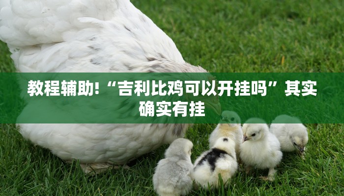 必看教程“和和斗地主有挂吗”其实确实有挂