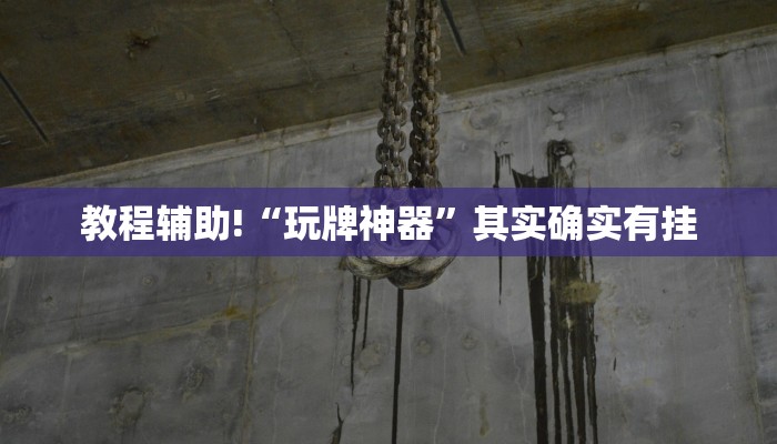 必看教程“牵手跑得快如何刷好牌”其实确实有挂