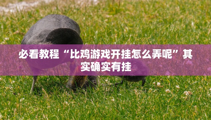 教程辅助!“春天扑克牌怎么开挂”其实确实有挂