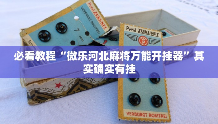 必看教程“中天游戏怎么开挂”其实确实有挂