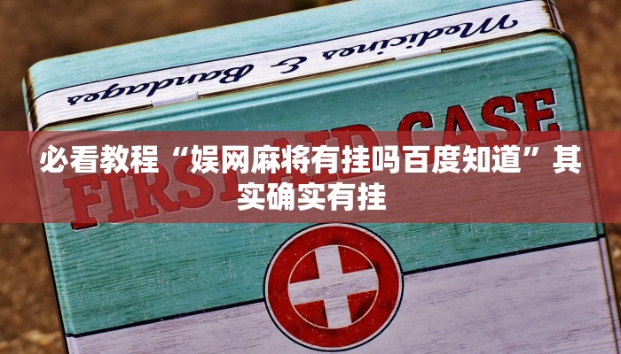 必看教程“好玩贰柒拾有挂吗”其实确实有挂