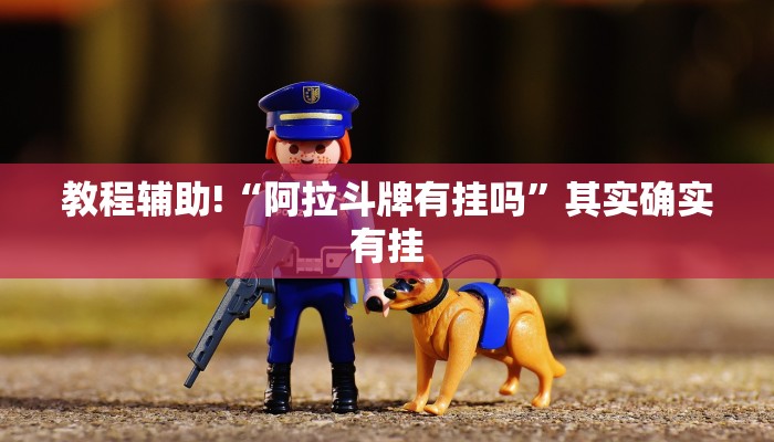 教程辅助!“阿拉斗牌有挂吗”其实确实有挂