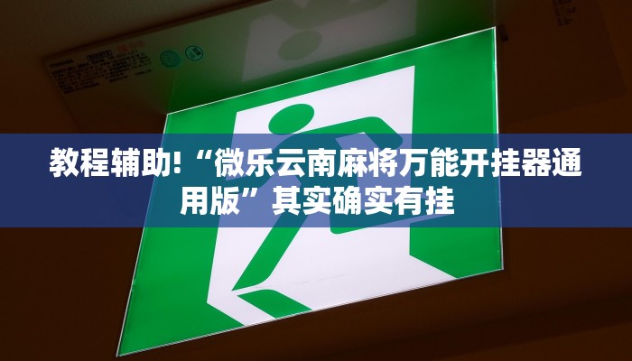教程辅助!“方片十三张万能开挂器”其实确实有挂